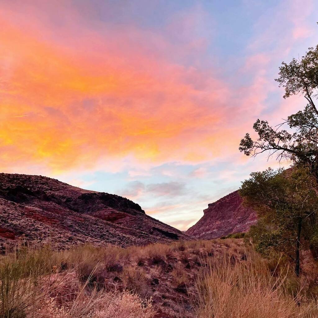 kellybranan's tweet image. Good morning from Zion!