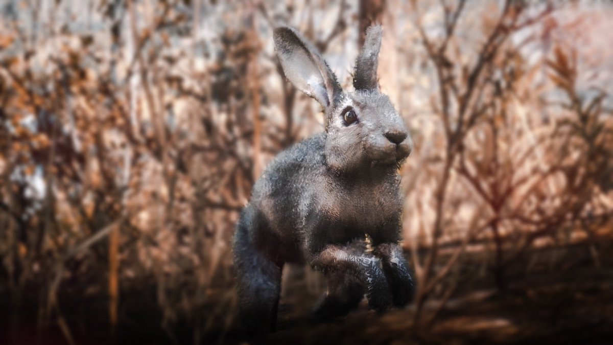 inthesun_10's tweet photo. 🐰 | #TMGT #gta #GTAOnline #rdr2 #RedDeadRedemption2 #RockstarGames @RockstarGames https://t.co/V6AmQN5VKr