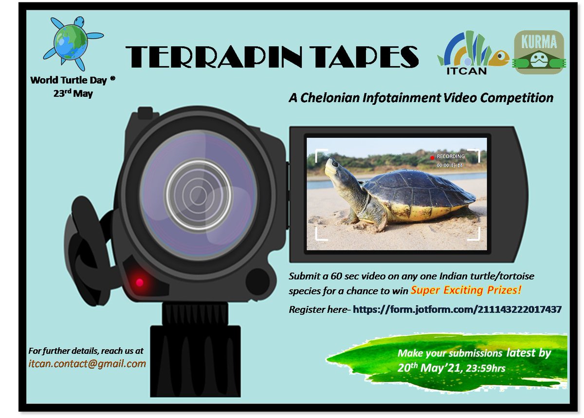 ⚠️🎞️ Terrapin Tapes🎞️⚠️ Entries open!
Inviting entries for Terrapin Tapes, a chelonian infotainment #videocompetition.
Share your knowledge &amp; love for #turtles with us, this #WorldTurtleDay! ❤️ 🐢