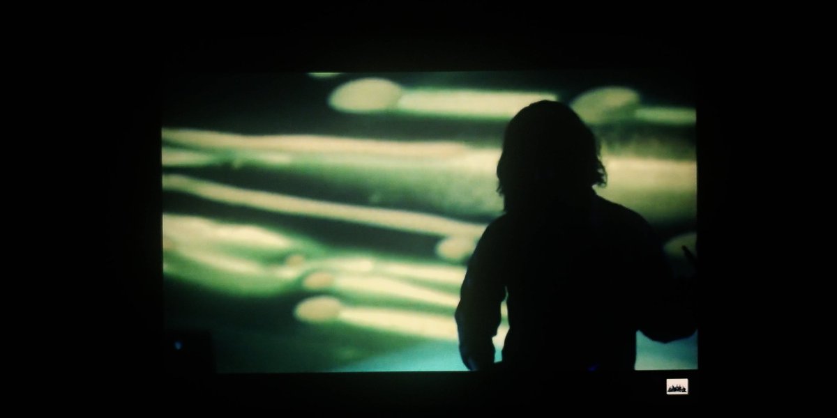 サカナクション X 流線 Twitterで話題の有名人 リアルタイム更新中