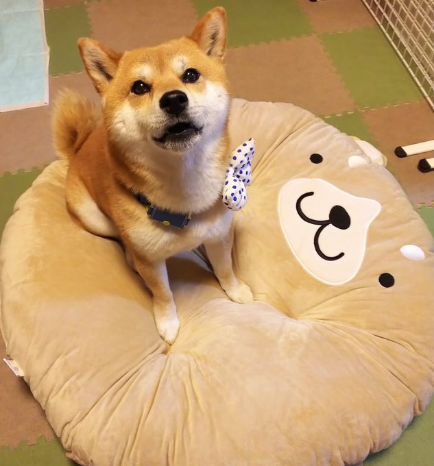 閉店間際のtwitterイラスト検索結果