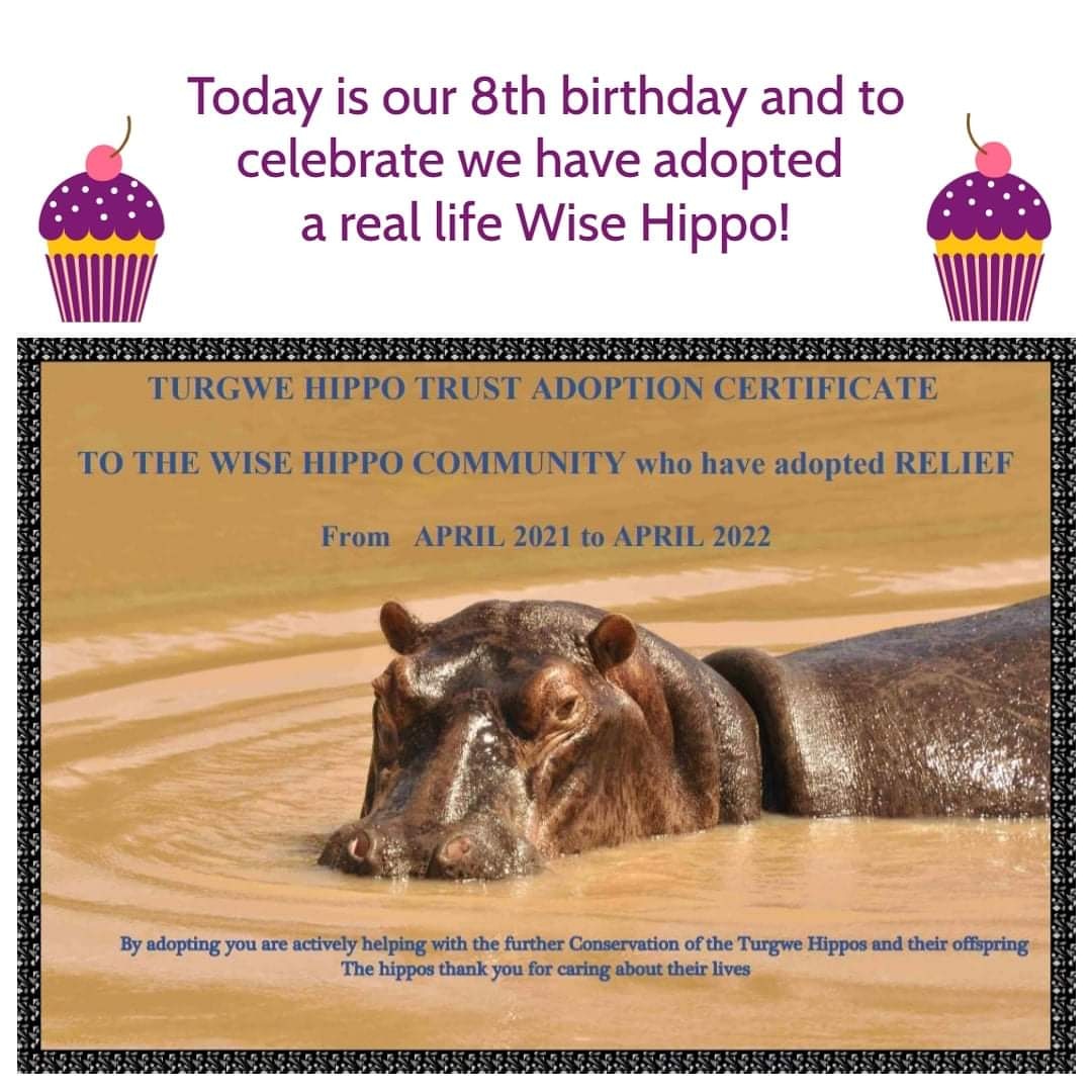 Hippo Birthday to us! Xxx #thewisehippo #hypnobirthing #twittermums