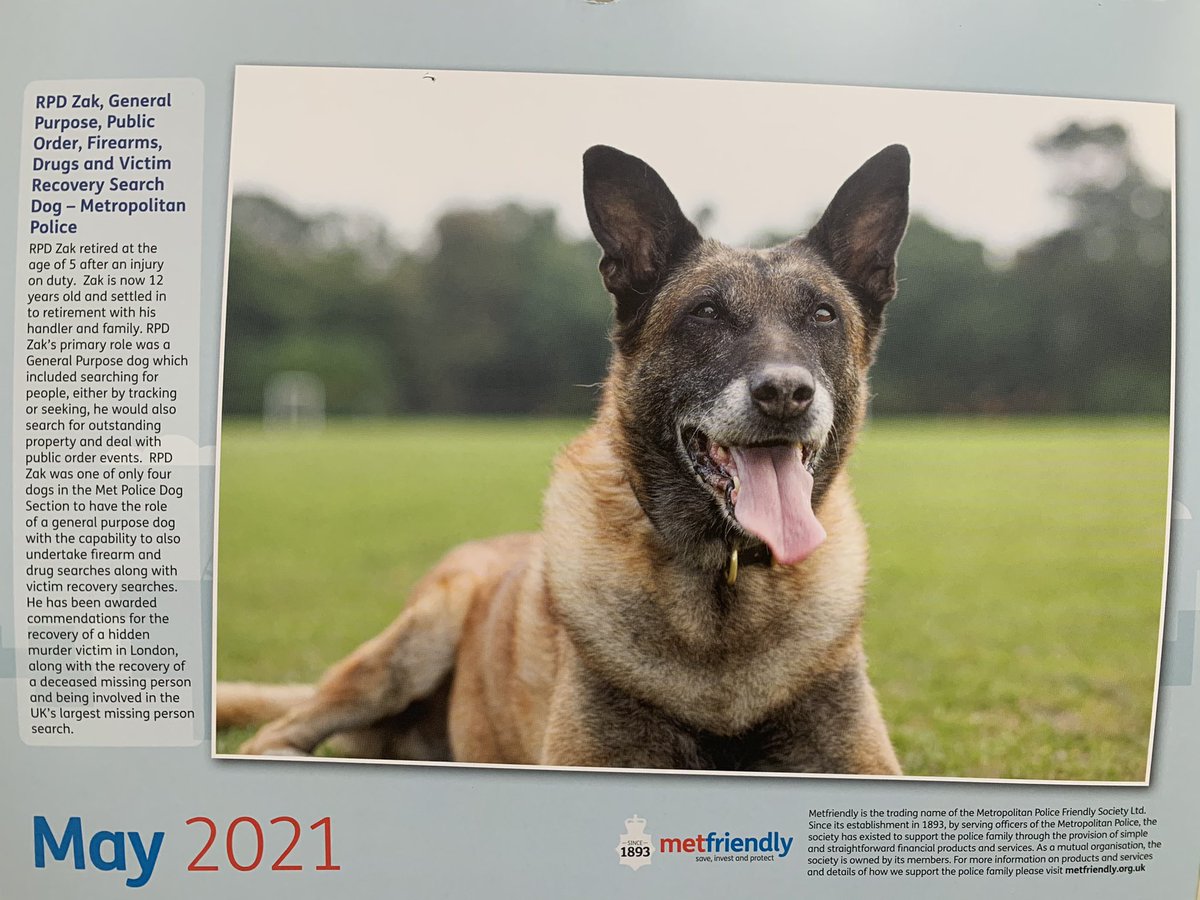 London Retired Police Dogs Trust tweet media