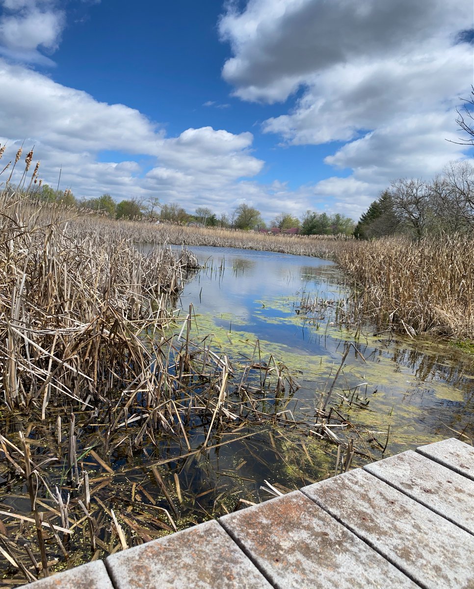 Cope Environmental tweet media