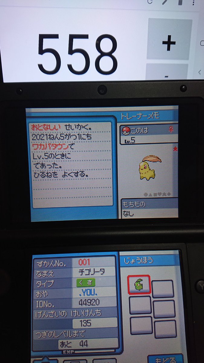 ポケットモンスターハートゴールド