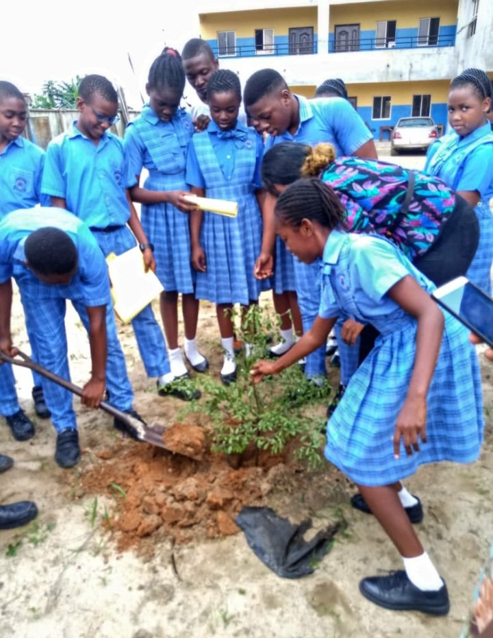 futuresaversng's tweet photo. We are coming back to the school community again. 

In the new week, we will be launching our very first #FSDI COMMUNITY FOOD PARK PROJECT in a Secondary School in Nigeria. 

Kindly follow us for progress on this project. #climateeducation #teensandclimateclub #community #trees https://t.co/FTECBPjf0p