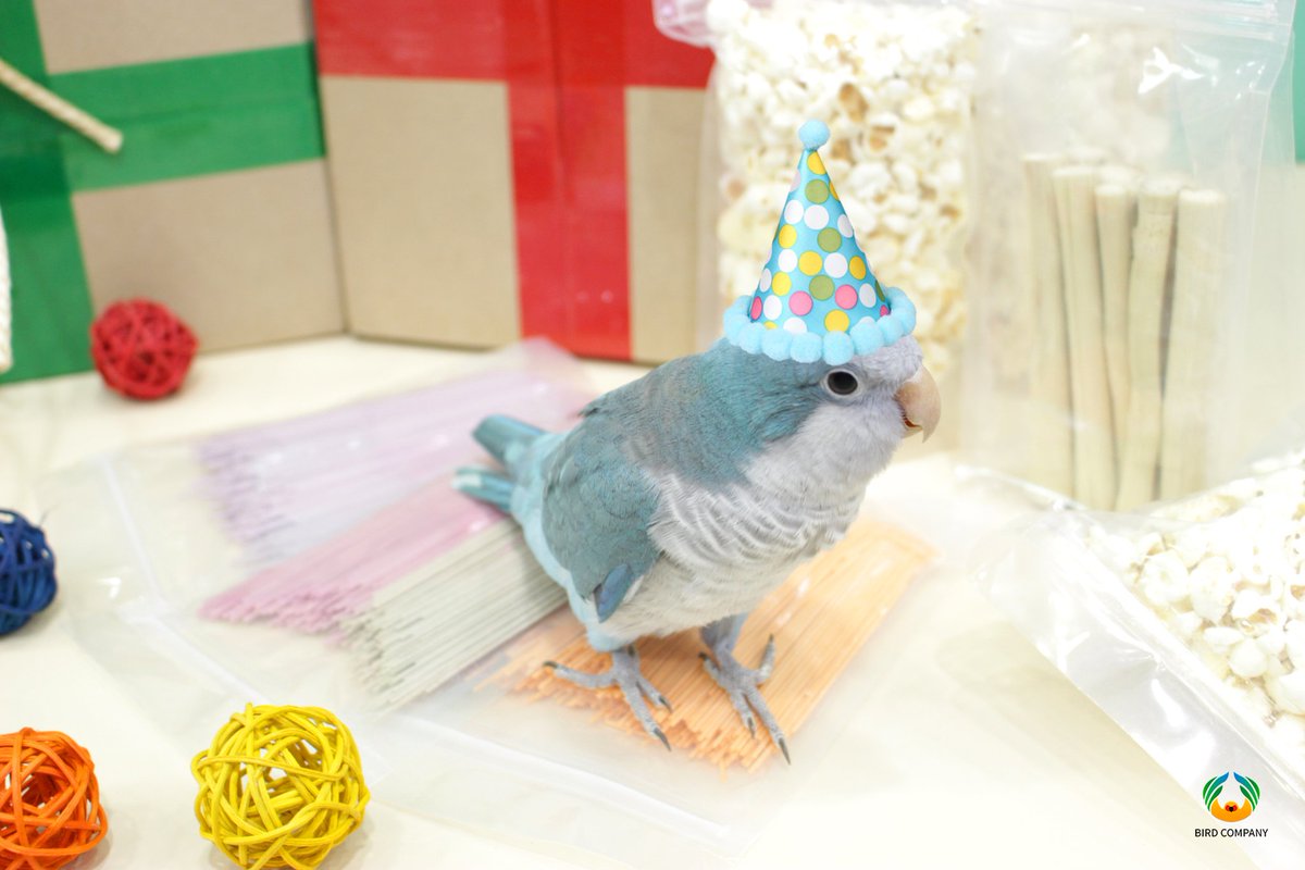 5월의 럭키박스 판매시작합니다~!🍀
이번엔 놀이터 교환권 5장포함!!!!🥳