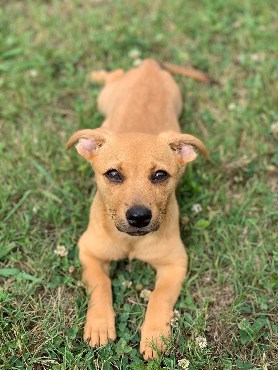 armani_samone's tweet image. Nala said she’s ready to be the winner of #BuschCTOContest