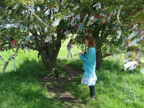 Another aspect of Bealtaine was the May Bush. This practise is more common in the Hiberno-Norman areas (Wexford, Clare & Kilkenny). A hawthorn was chosen & decorated with red ribbons & eggs. Here is the ritual fertility aspect. Additionally the thorn is a common sacred tree.