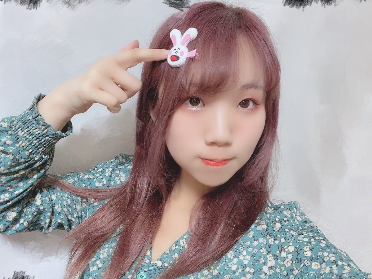 訳ありセール格安) たべっ子どうぶつ ねこ ヘアクリップ 前髪クリップ