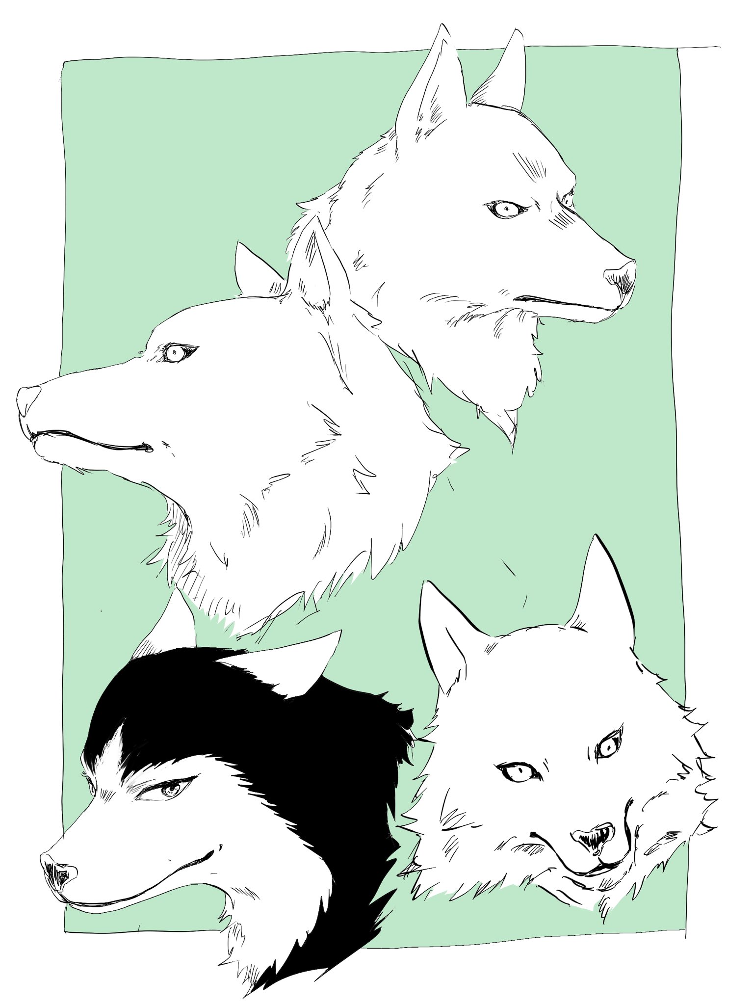 カラヒガ 新しいペン描きやすいから落書き捗っちゃうね 小さい頃動物のお医者さんとワイルドハーフみて模写しまくったおかげで狼かハスキーなら資料なしで描ける 動物のお医者さんとワイルドハーフ最高だよ 動物の絵が上手くなるよ T Co
