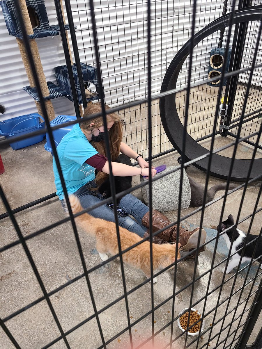 _MichelleMarie5's tweet photo. We had an amazing day yesterday! Thank you to everyone that made this day possible!
#WBHSEarthDay2021 https://t.co/U4uMPdeWYM