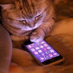 ドラゴン桜 紗栄子 最新情報まとめ みんなの評価 レビューが見れる ナウティスモーション 7ページ目