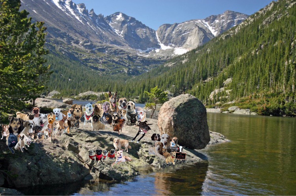 Pawventures2's tweet photo. Happy May Day! #pawventures @80sqween @Chumchu08391001 @Mommaofdexter @DownDixie @winstonandlily @mslr4ever @coloradousabarb @friends_gracie @Alfie_Boy_Dog @prefect https://t.co/hMpaLL3c3W