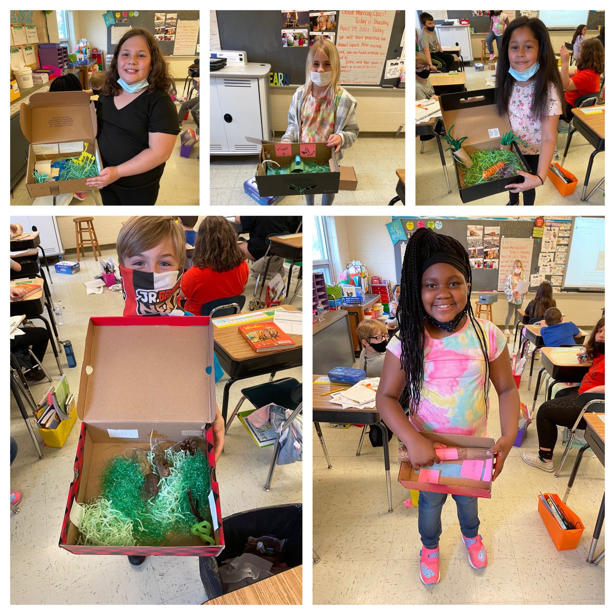 MrsChristner's tweet photo. This week the students presented their animal 🦒 🐍 🐕 🦎 🐅 🐆 reports! They created a zoo exhibit and typed a report on their animal’s life cycle &amp; traits! @RoadrunnerROCKS https://t.co/ZrpFCuIuJN