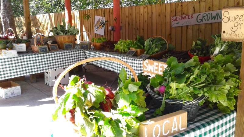 There's lots to look forward to at the Sunday Market: Check out our latest news! conta.cc/3ubVx0e