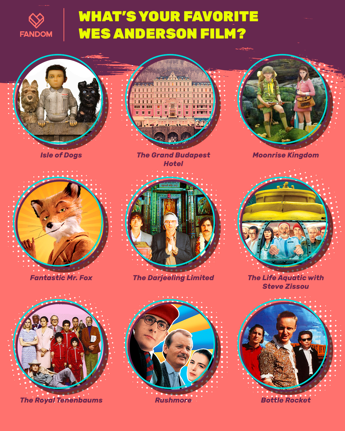 Happy Birthday, Wes Anderson 