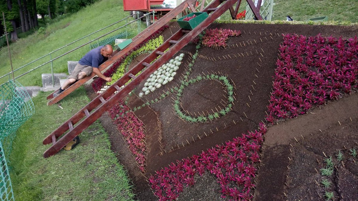 leCMN's tweet photo. Qui dit mois de mai, dit floraisons ! 🌷
Chaque année, les équipes du domaine de #SaintCloud composent une spectaculaire mosaïque fleurie. Plus de 1000 heures de travail sont nécessaires à sa création !
Vous pouvez soutenir ce projet 👉 https://t.co/hHRS9NAkmb
#MaPierre https://t.co/B2eK9Ovtct