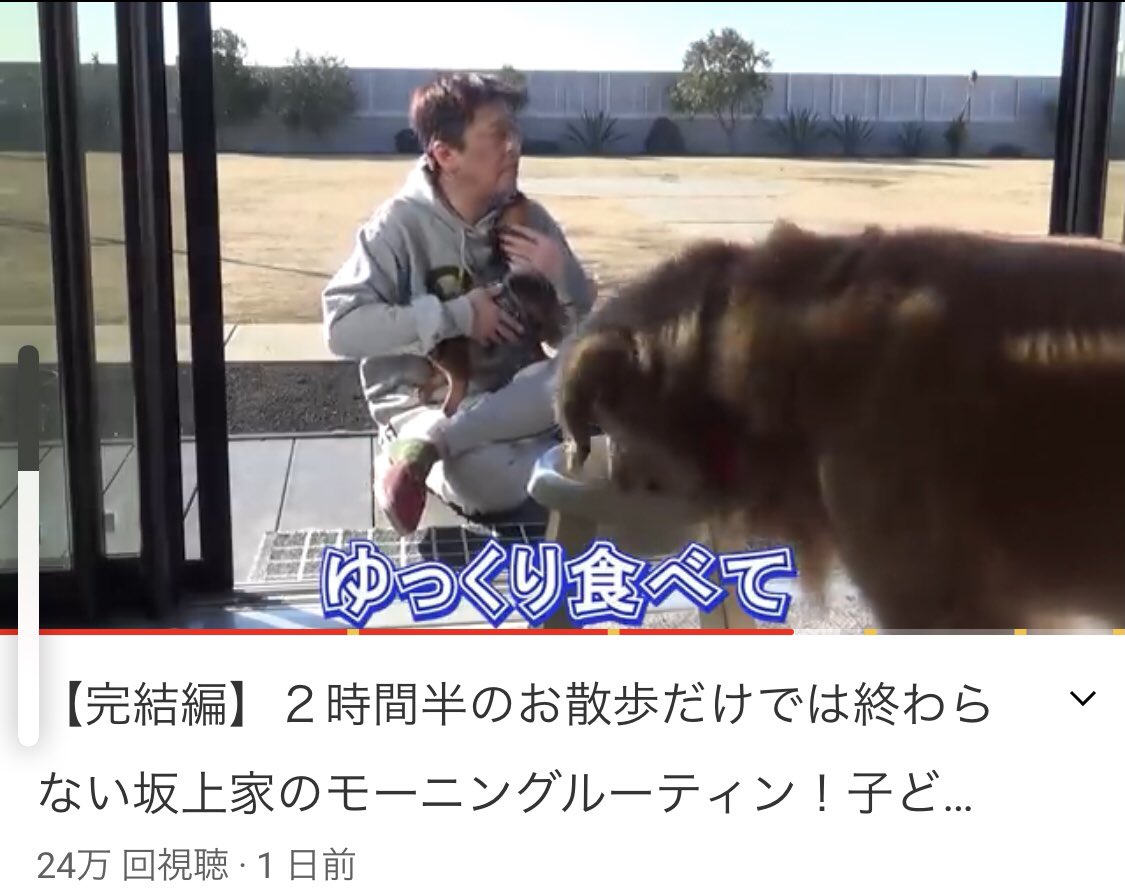 Yuitan On Twitter 老後は坂上忍みたいな生活したい この人は犬の為に こんなに大きい庭がある家にしたり 毎朝 3時間近くの散歩やったり ご飯も栄養バランス考えて 自分で全部やってたり ほんまにすごいよ 動物好きな人に悪い人は居ない Https T Co