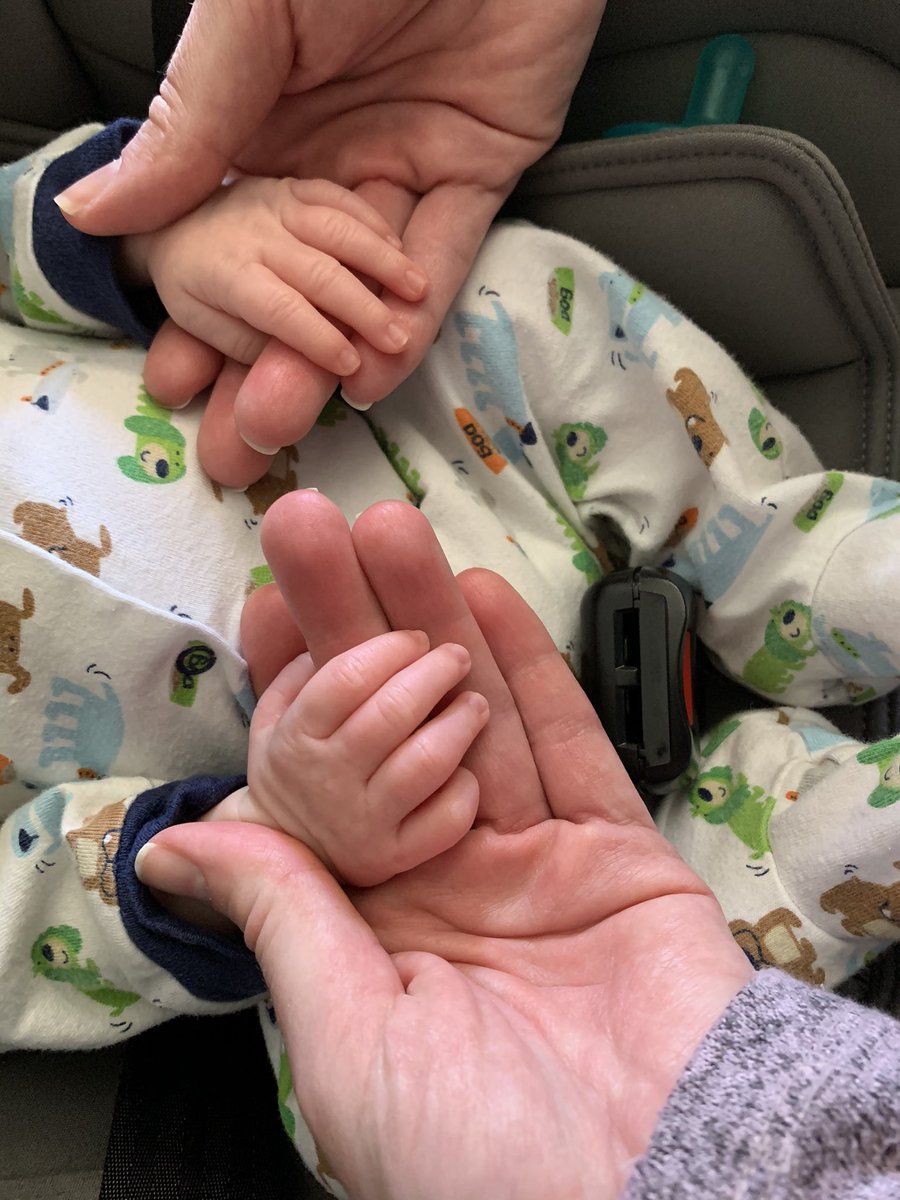 cknorrart's tweet photo. Our sweet boy is fifty days old today. https://t.co/Ti2i2E55MU