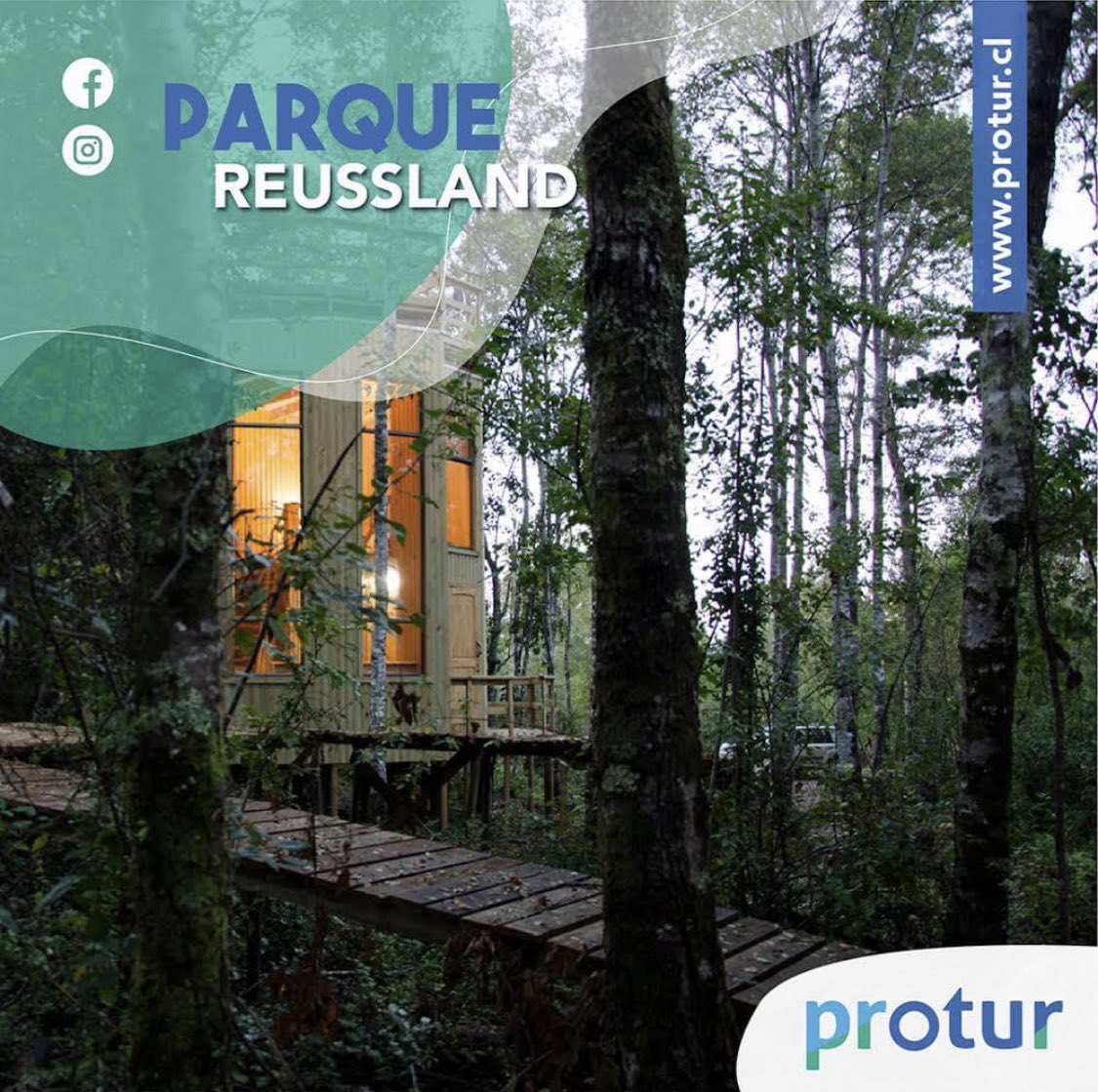 proturbn's tweet photo. felicitaciones  a Anabel Ramírez,
🌿 del Parque Ecológico Reussland por el reconocimiento nacional de SERNATUR. ⛰ El parque alberga más de 60 hectáreas de #bosquenativo, en la cordillera de #Nahuelbuta
🌐 Conoce más sobre el Parque Ecológico #Reussland: https://t.co/gy6aZnUBod https://t.co/KWpfXmtfSS
