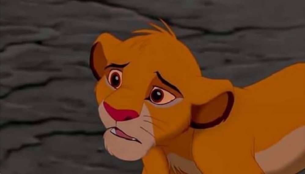 Как звали отца симбы. Лев из мультфильма. Король лев муфаса. Король лев симба и нала кову и киара. Как звали отца симбы.