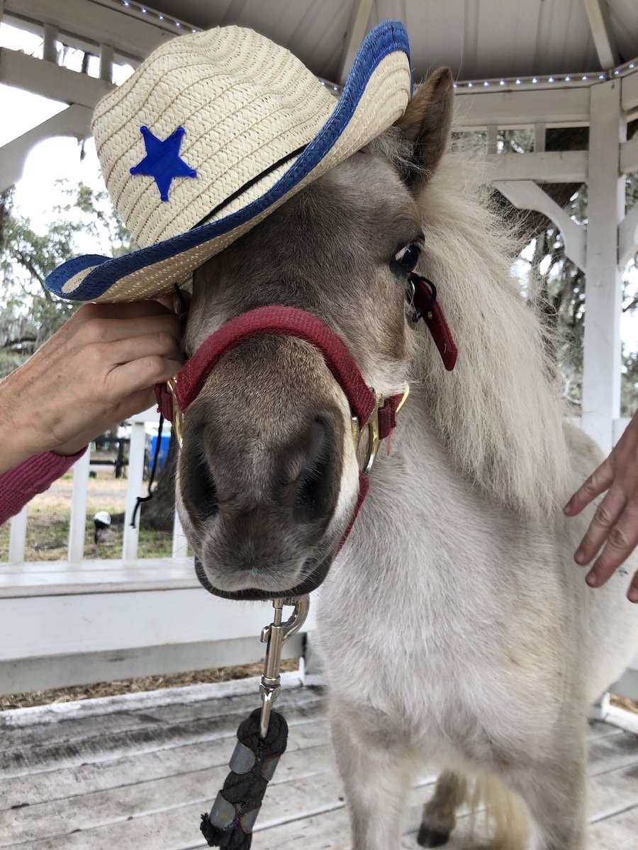 It me. Wearing my Kentucky Derby hat. Good luck lorge frens.