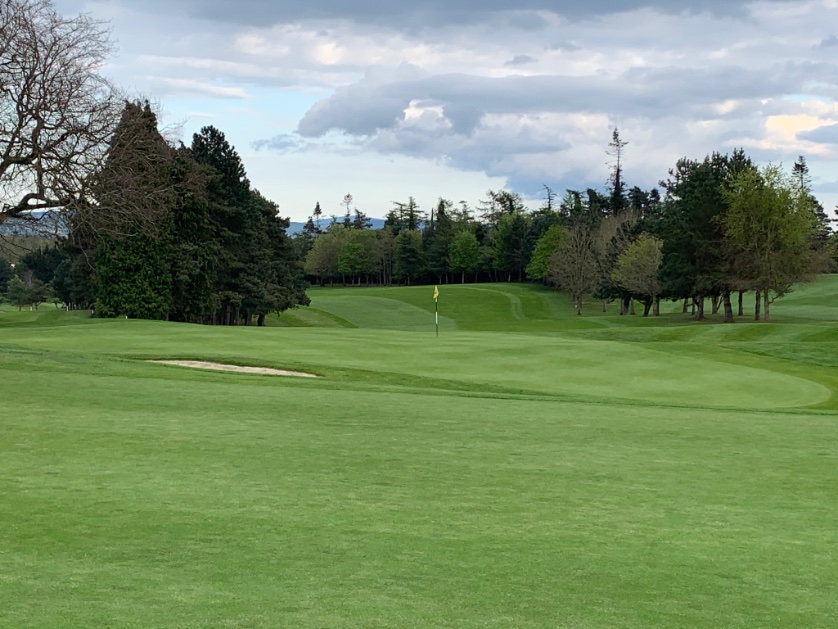Great to be back out playing, the course is looking amazing <a href="/turfpro2020/">David Behan</a>. Thanks to the staff and many volunteers for all they do for the club 🌟
