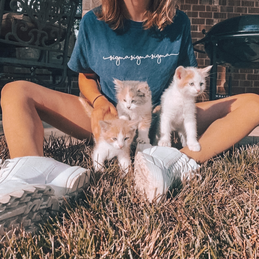 April showers bring May flowers (and the occasional kittens if you’re lucky). Happy first day of May! 🌸