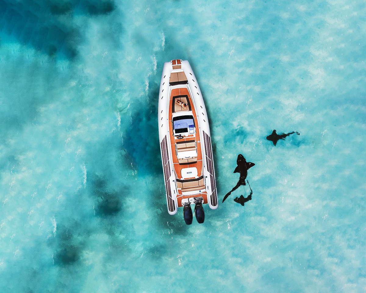 Summer is only a couple months away so we're mentally planning our vacations now ☀️

What are you plans for this summer? 

#BRIGUSA
.
.
.
.
#summeriscoming #summerfun #boatday #boatadventures #summerboatdays #brigglobal #brigboats #rigidinflatableboat