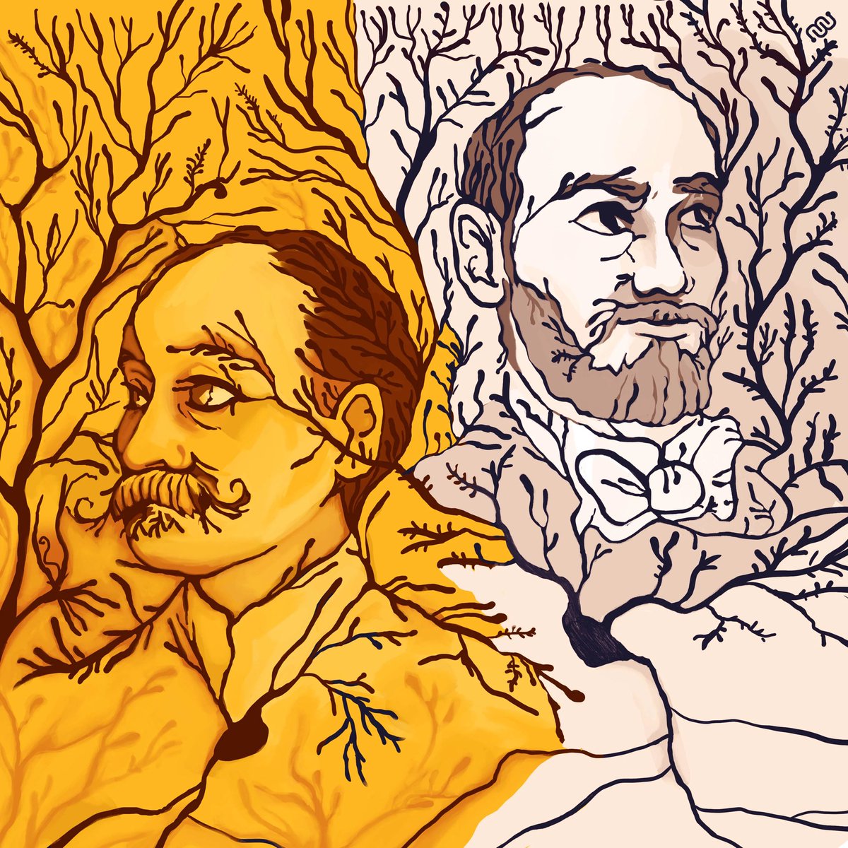 In 1906,  #Cajal and  #Golgi shared the  #NobelPrize for his contribution to the understanding of the structural organization of the  #brain, what was called the Neural Doctrine. It was one of the fists jointly awarded prizes in physiology and medicine.