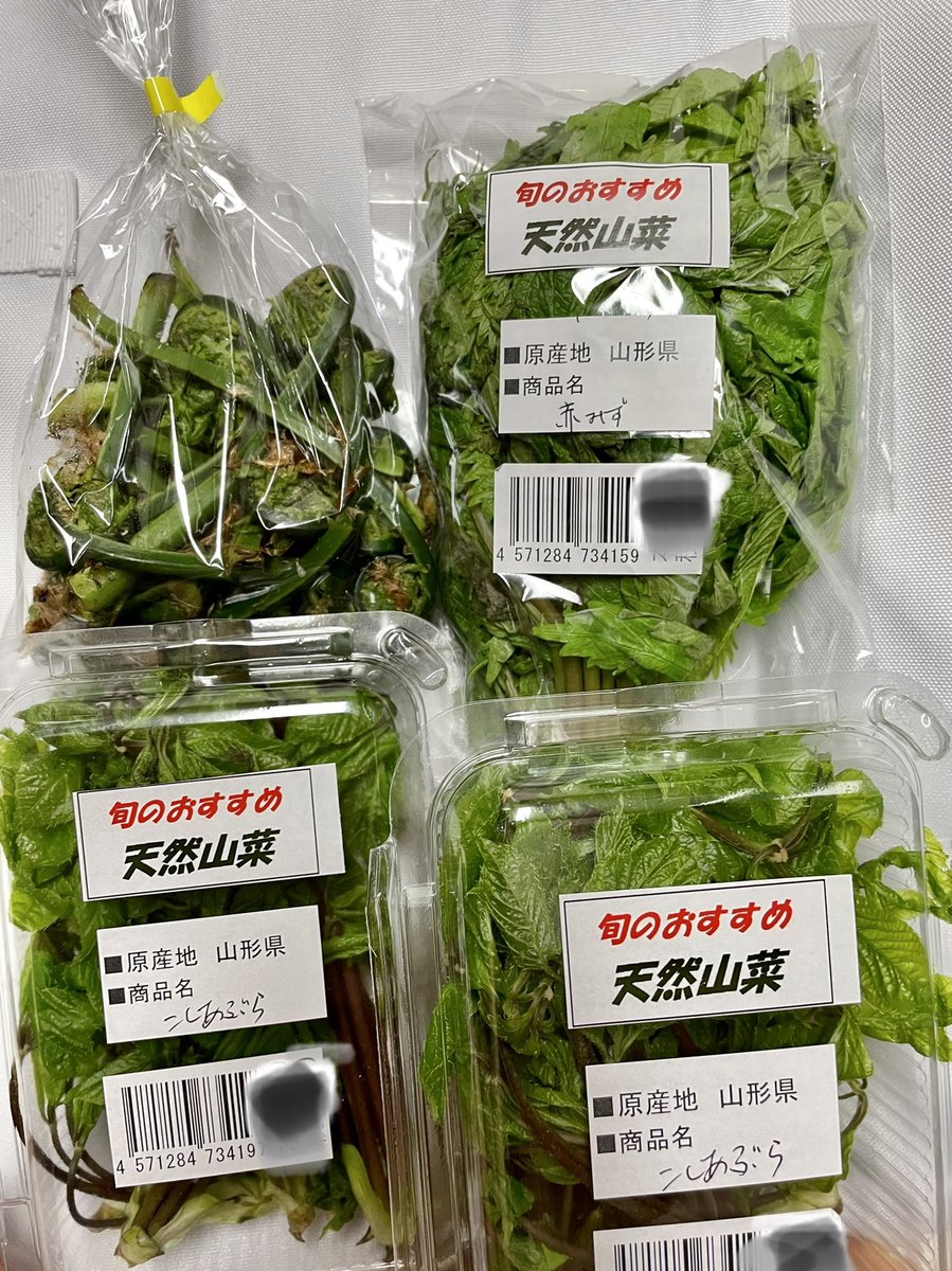 赤みず 赤みず