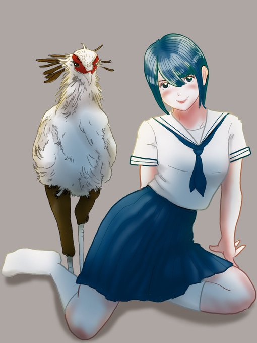 ヘビクイワシのtwitterイラスト検索結果