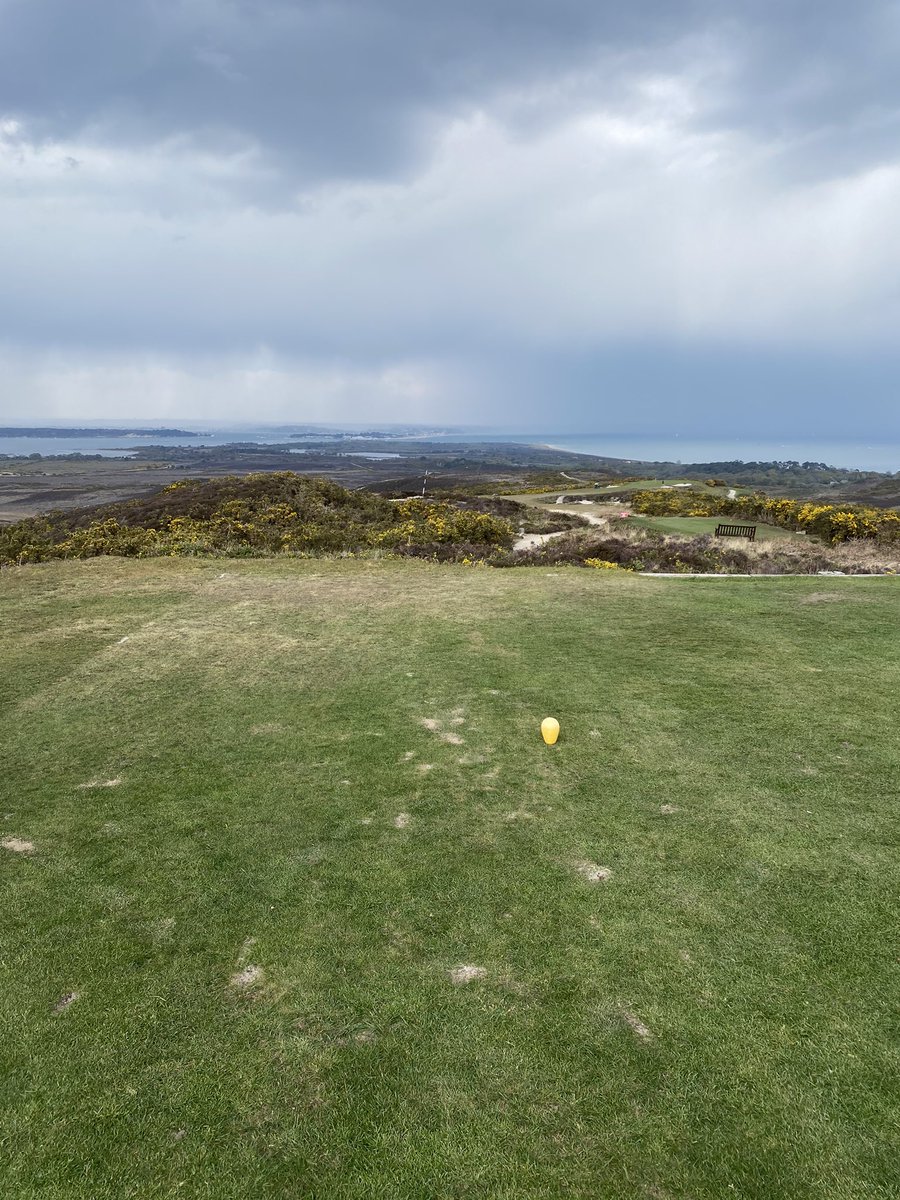 Jamie⭐️⭐️⭐️⭐️⭐️⭐️ 20🏆 tweet media