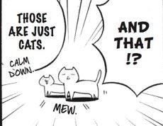 😼