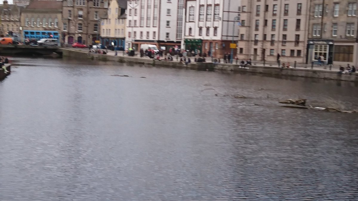 Lynz69's tweet photo. Good to see people out enjoying a social life again, although not much social distancing going on, still good to see ppl out enjoying Sunny Leith again😍 https://t.co/mQMpQKfsLo