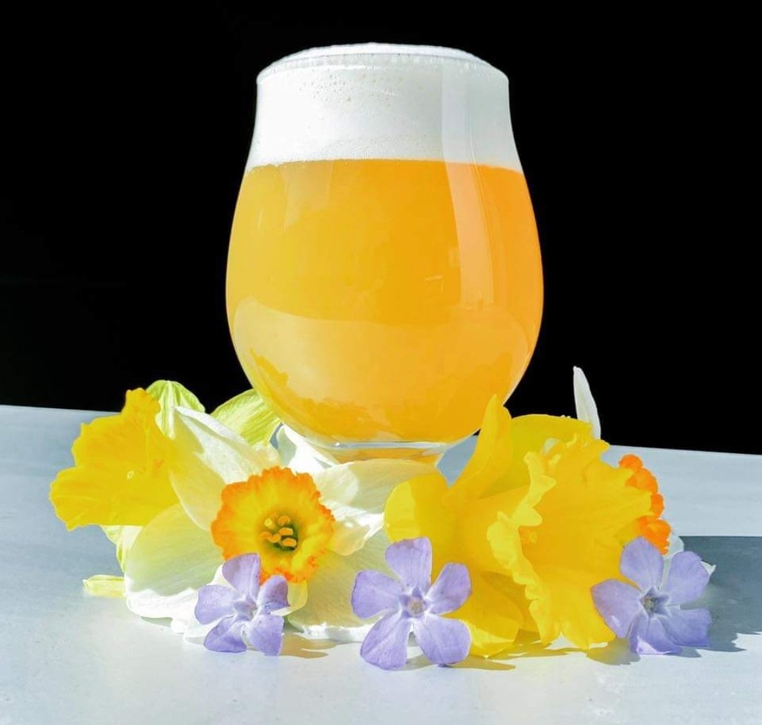 Stacked Deck Brewing tweet media