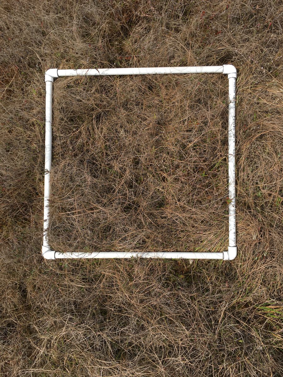 #PeatPics set up at Burns Bog. Let's see how much it'll change (or not) after growing season! Thanks for the help from <a href="/tzuyilu/">Tzu-Yi Lu</a> and Tin.