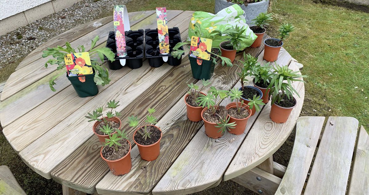 CraigWren1987's tweet photo. 3 years ago today I lost a colleague, mentor and friend. Im indebted to Laura’s guidance and encouragement in my career. Spend today putting some plants into her garden. None of us know what’s waiting for us so take every chance, life every dream and enjoy the time you’ve got 💙 https://t.co/fLj9q8wxzn