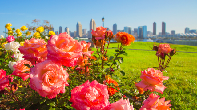 Happy 1st day of May!