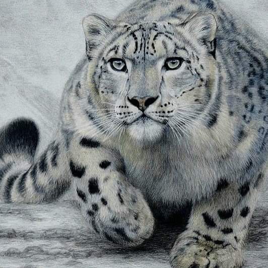 AMBeautifulNat1's tweet image. Beautiful Nature.