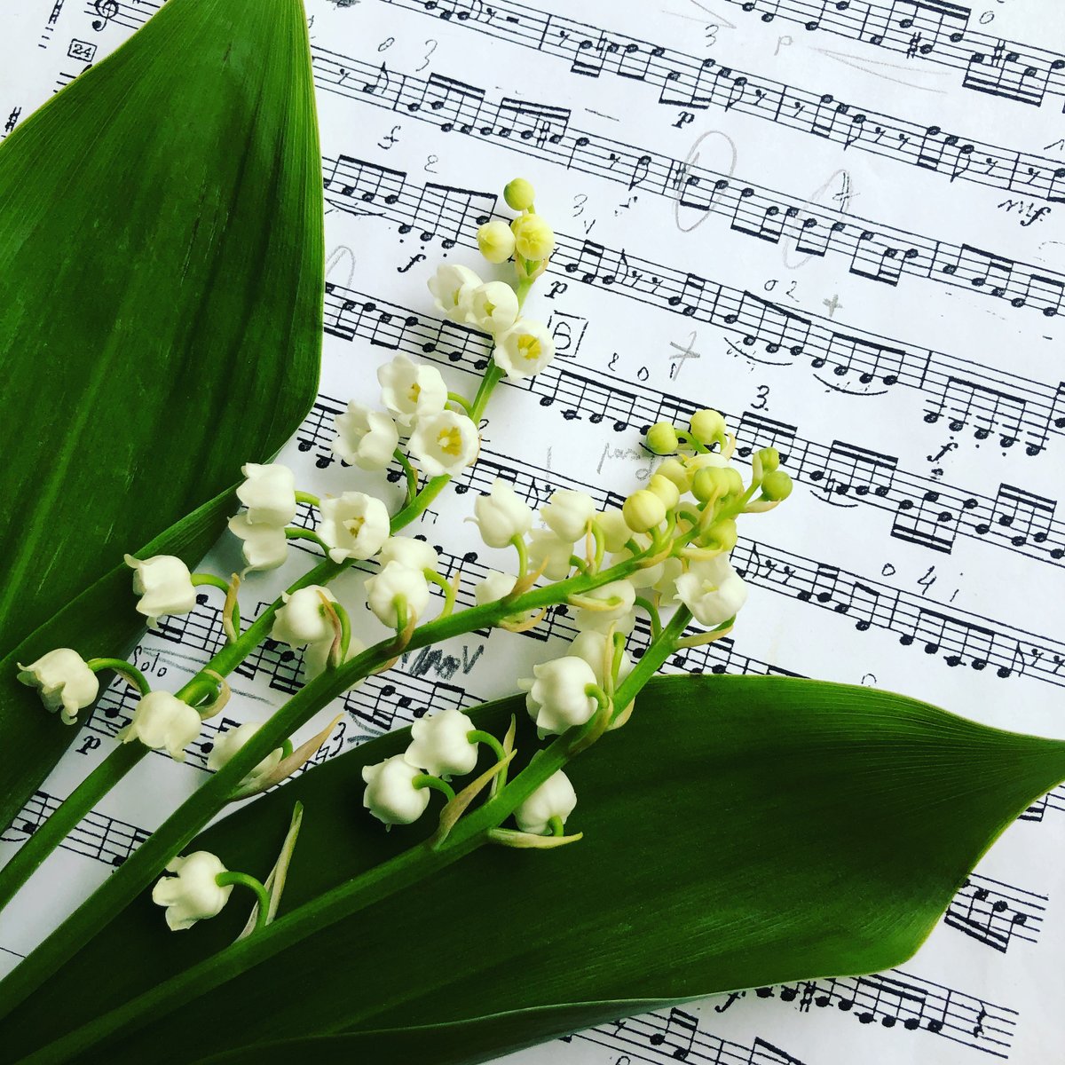 Après un si long silence... Après une année et demie si difficile... Pépites Musicales souhaite à tous les acteurs de la culture une (bientôt) belle reprise et beaucoup de bonheur !