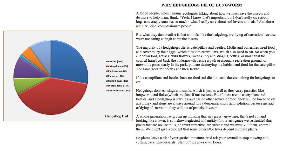 HedgehogCabin's tweet image. Most people are aware our precious hedgehogs are in trouble, but don't know how they can help. The internet is full of bad advice, even on sites you'd think you can trust. In #hedgehogweek the most important thing you can do is spread good information. R/T
