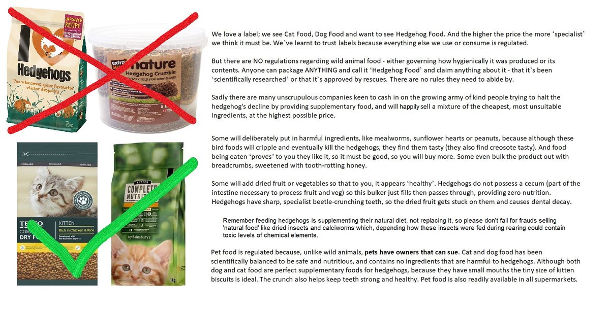 HedgehogCabin's tweet image. Most people are aware our precious hedgehogs are in trouble, but don't know how they can help. The internet is full of bad advice, even on sites you'd think you can trust. In #hedgehogweek the most important thing you can do is spread good information. R/T