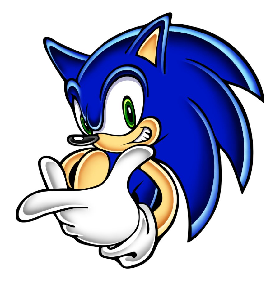 Sonic the Hedgehog: Energetic and carefree teenager. He's ready to fight at any moment and is extraordinarily fast. c