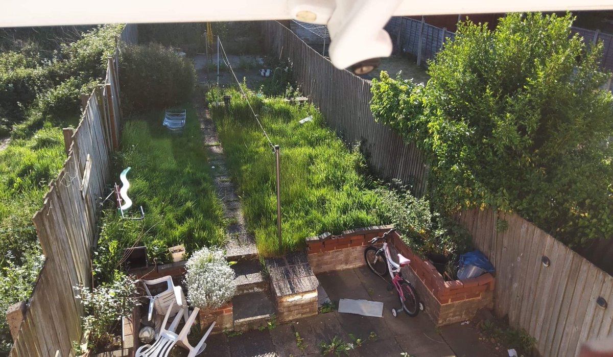 youngtrepreneu1's tweet photo. When a family needs help with their garden so much that they will refuse 2 go out & take a picture unless it's from the top window we know it's a job 4 our #YouthTeam ☝😎 . If #LevellingUp #BuildingBackBetter means leaving no one behind, we must #WorkWithYouth #BetteringLives 💯 https://t.co/tzmzzkpuBs