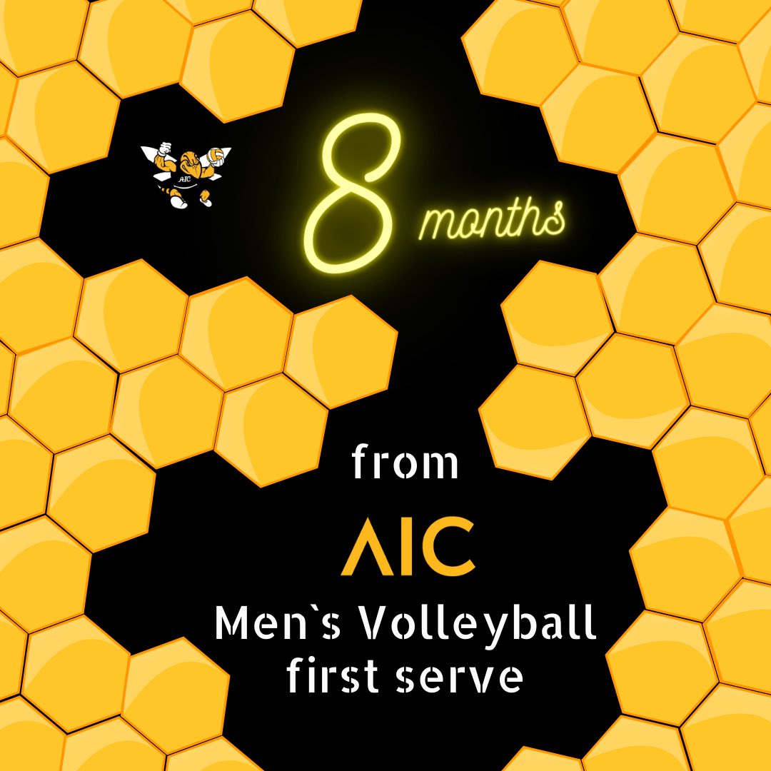 AICmvb (@aicmvb) on Twitter photo #AICommited #OneHiveOneFamily
<a href="/NCAAMVB/">NCAA Men's Volleyball</a> #mensvolleyball #ncaambv #volleyball #NCAAmensvolleyball #AICommited #OneHiveOneFamily
<a href="/NCAAMVB/">NCAA Men's Volleyball</a> #mensvolleyball #ncaambv #volleyball #NCAAmensvolleyball