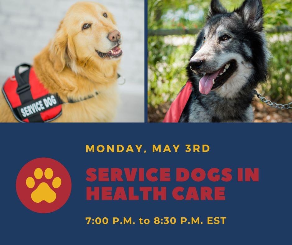 Queen's University Human Rights and Equity Office (@hreoqueens) on Twitter photo Queen’s School of Medicine is organizing an event on Service Dogs in Healthcare! The event will feature service dog handlers discussing their experiences with their dogs & the healthcare system. Anyone interested in healthcare is welcome!
Email kelly.zou@queensu.ca to register. Queen’s School of Medicine is organizing an event on Service Dogs in Healthcare! The event will feature service dog handlers discussing their experiences with their dogs & the healthcare system. Anyone interested in healthcare is welcome!
Email kelly.zou@queensu.ca to register.