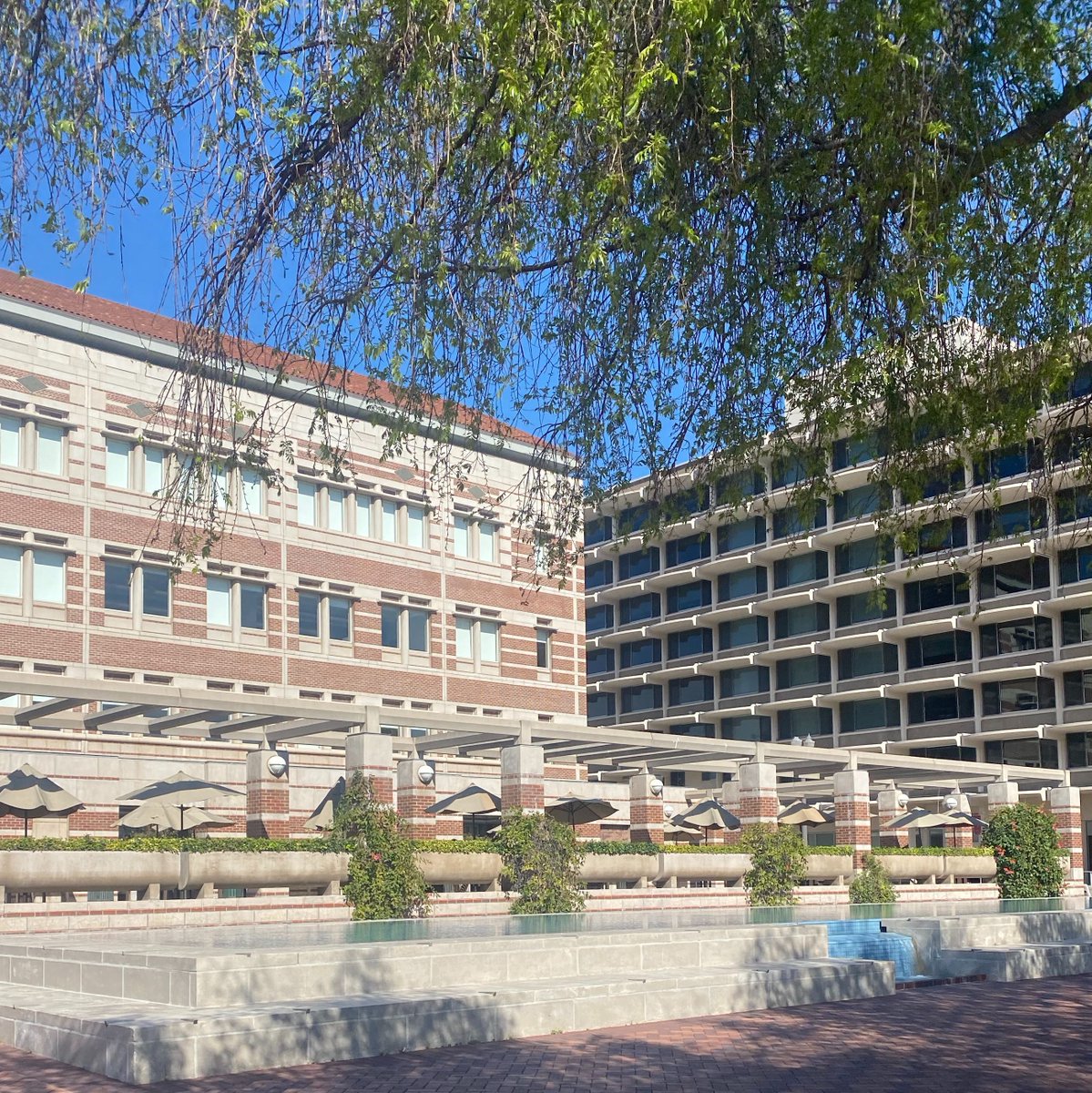 Study Days are Here. 📚 Summer Fun is Near.
We'll just Leavey this here in your feed. 🤓 
<a href="/USCLibraries/">USC Libraries</a> #USCTrojans #FightOn