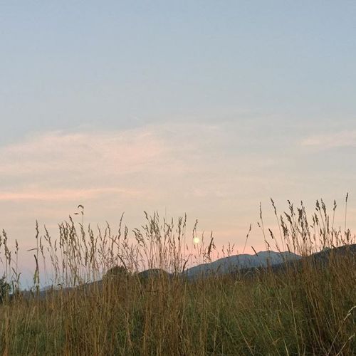 youminimalism's tweet photo. https://t.co/aNWw3JOBwe